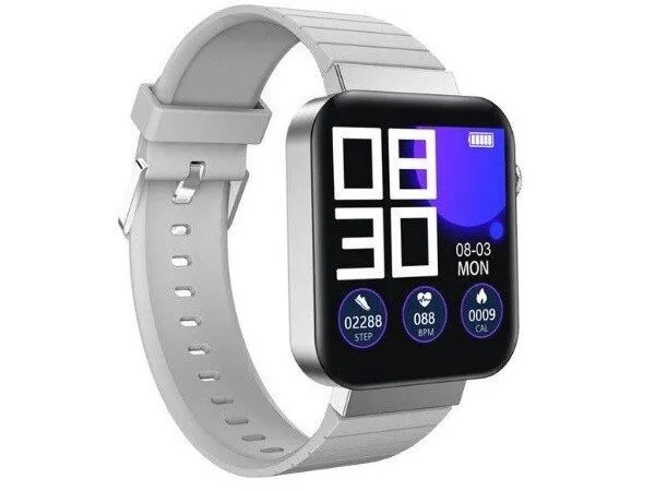 Mi5 SmartWatch Silver Mi5 SmartWatch Silver