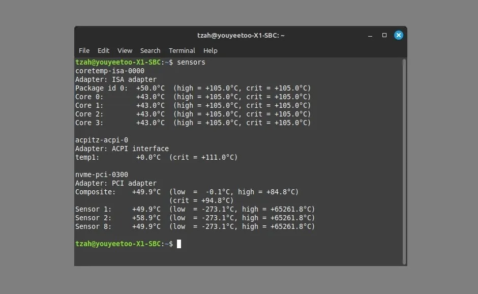 Youyeetoo X1 Linux Mint P2